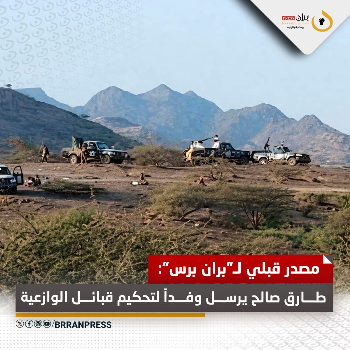 بران برس tweet media