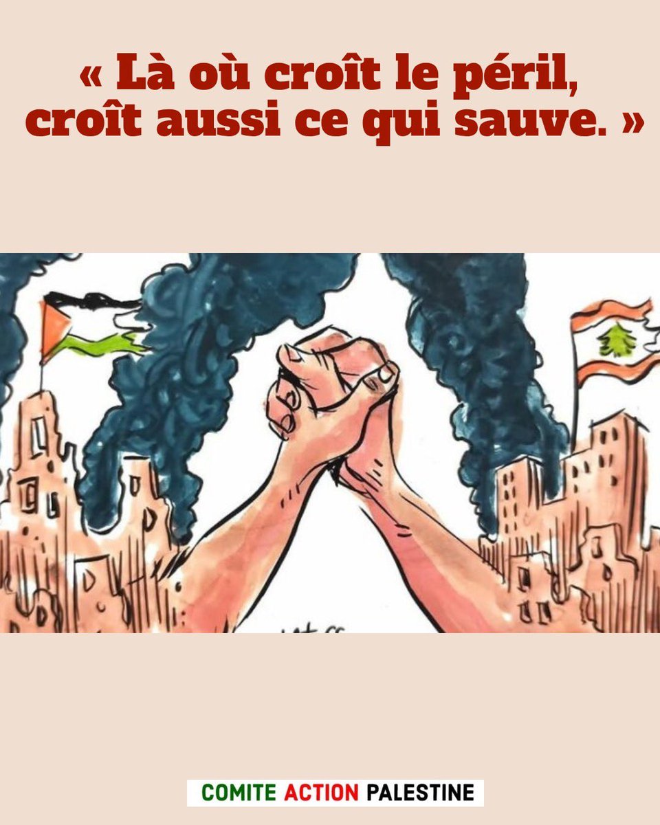 Comité Action Palestine tweet media