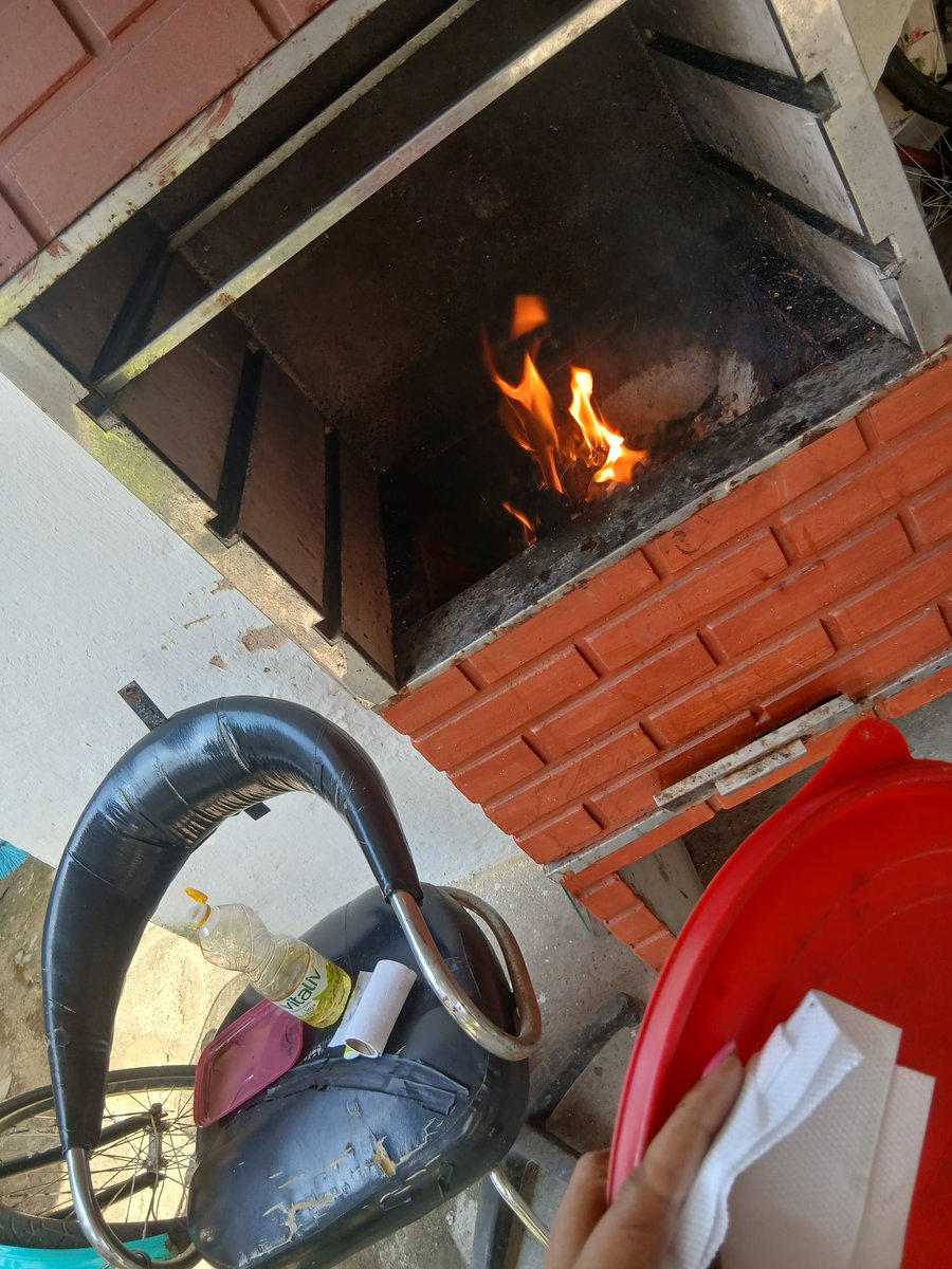 Fernanda Mattos tweet media