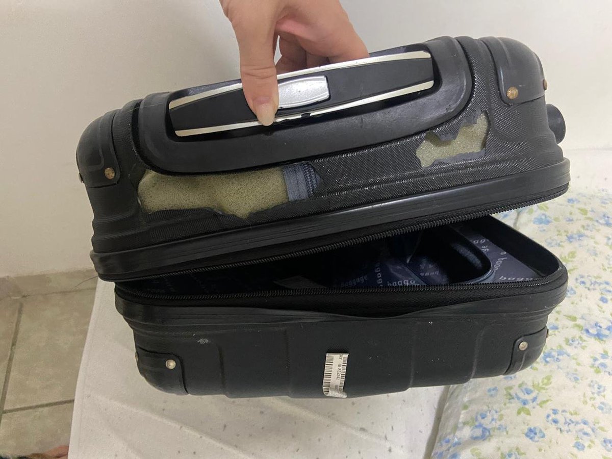 Jairo "Foxer" Junior tweet media