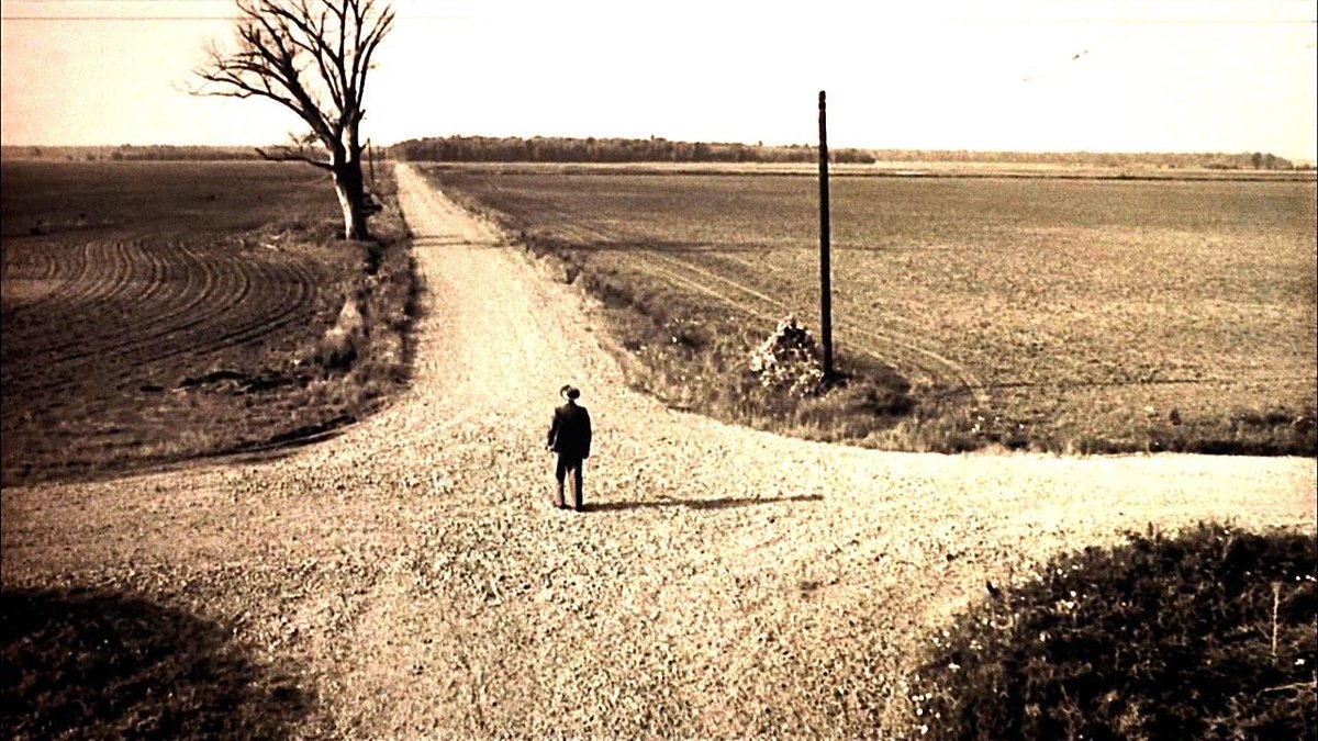 amirhayatkhan's tweet image. Life is a crossroads of quiet decisions, choose the path where your heart can breathe, and hope will walk beside you like an old friend….

#lifehacks