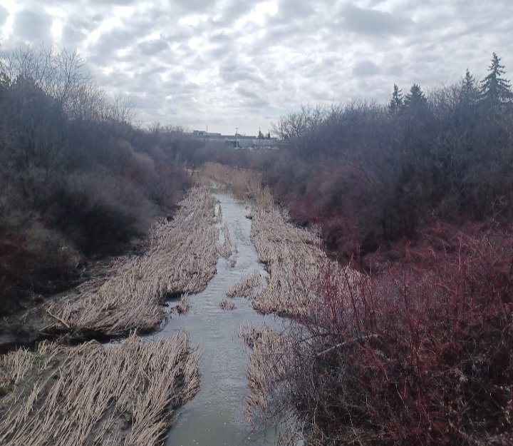 Steve Elshaw tweet media