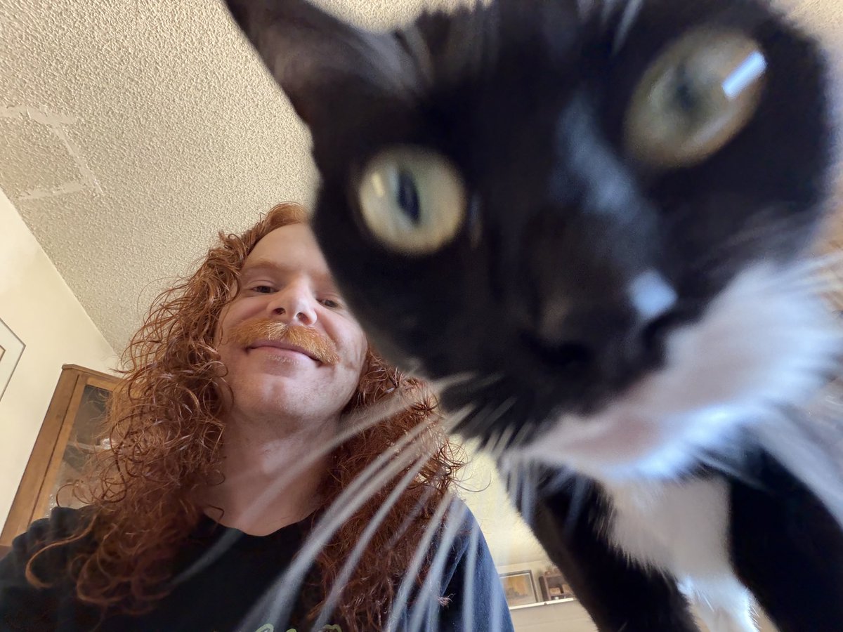 sword coast steve austin 2 tweet media