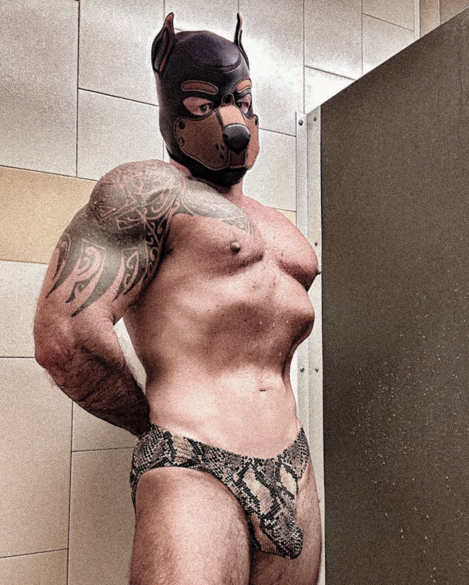 The Dog General tweet media