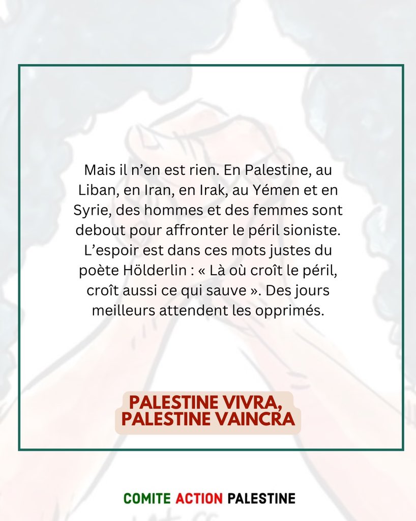 Comité Action Palestine tweet media