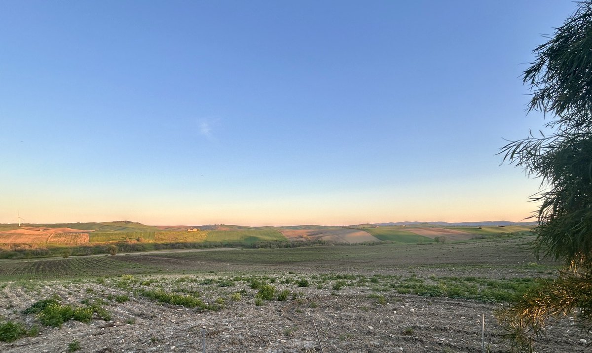 pippobordonali's tweet photo. Pasquetta in campagna da amici vicino Ururi con SoNiA e BordoMario mentre Alice passa la sua prima pasquetta da sola con le amiche… https://t.co/GgoJOc1Dg2