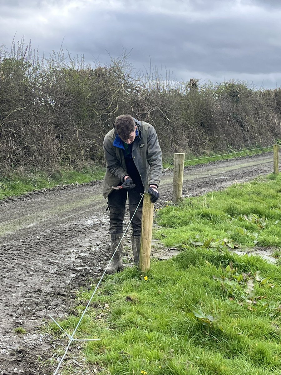 Hylo67's tweet photo. Inter generational farm business transfer lots of skills and knowledge through the generations Mr16 may not farm but he’ll know how to tension and tie hi tensile among many other things. My best memories are working with my father #goodtimes #knowledgetransfer https://t.co/h7qDB9F0PA