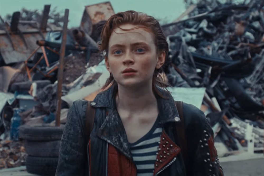 Lynna 🌹 tweet media