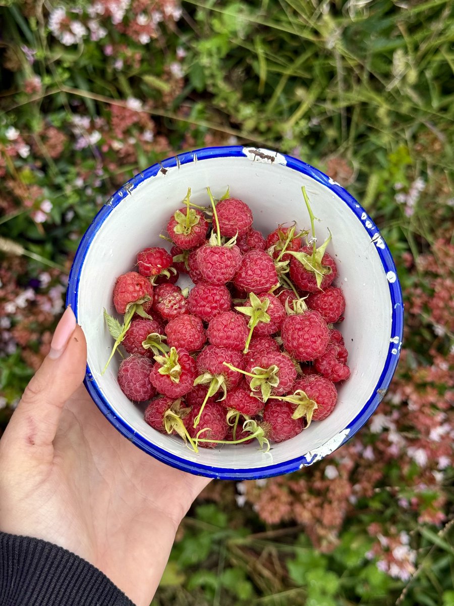 Jaylene🐰 tweet media