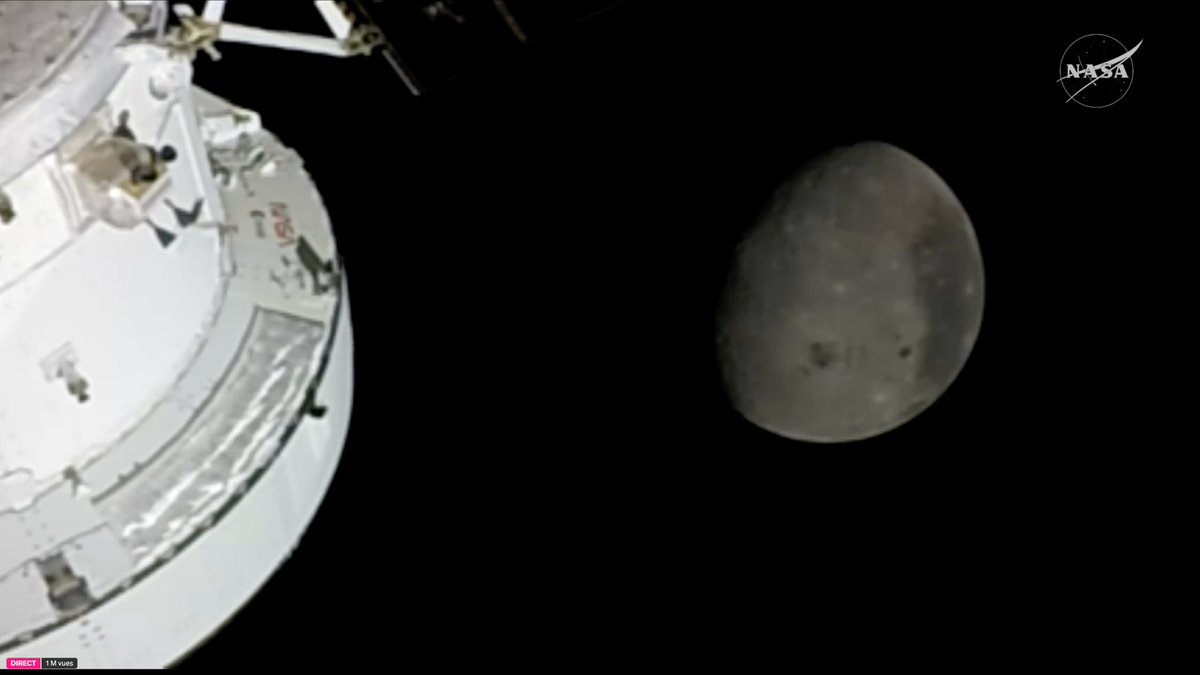 SILVANO TROTTA OFFICIEL tweet media