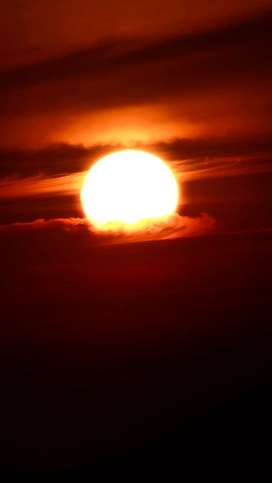 💢El Thader tweet media