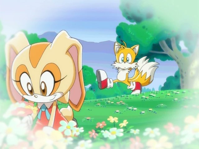 Daily Tails Pics tweet media
