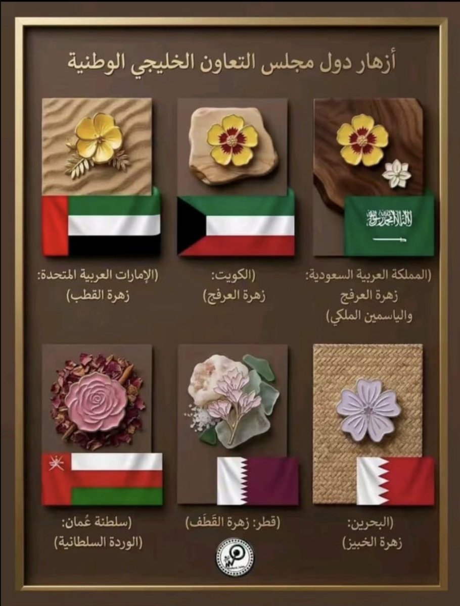 🇰🇼🍃بنت محمد 🍃🇰🇼 tweet media