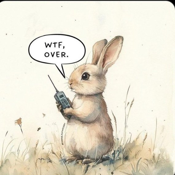 Kimberly B tweet media