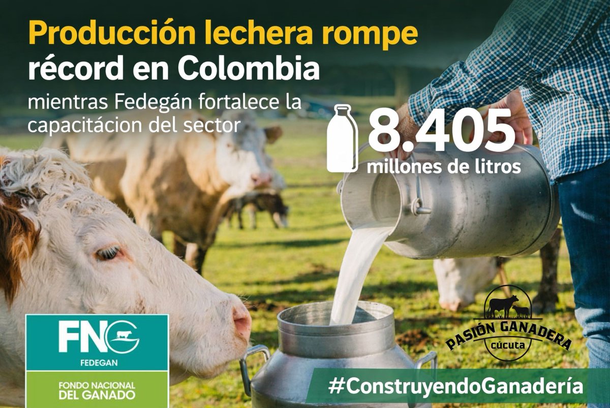 Proyecto Local Cúcuta Fedegan - FNG tweet media