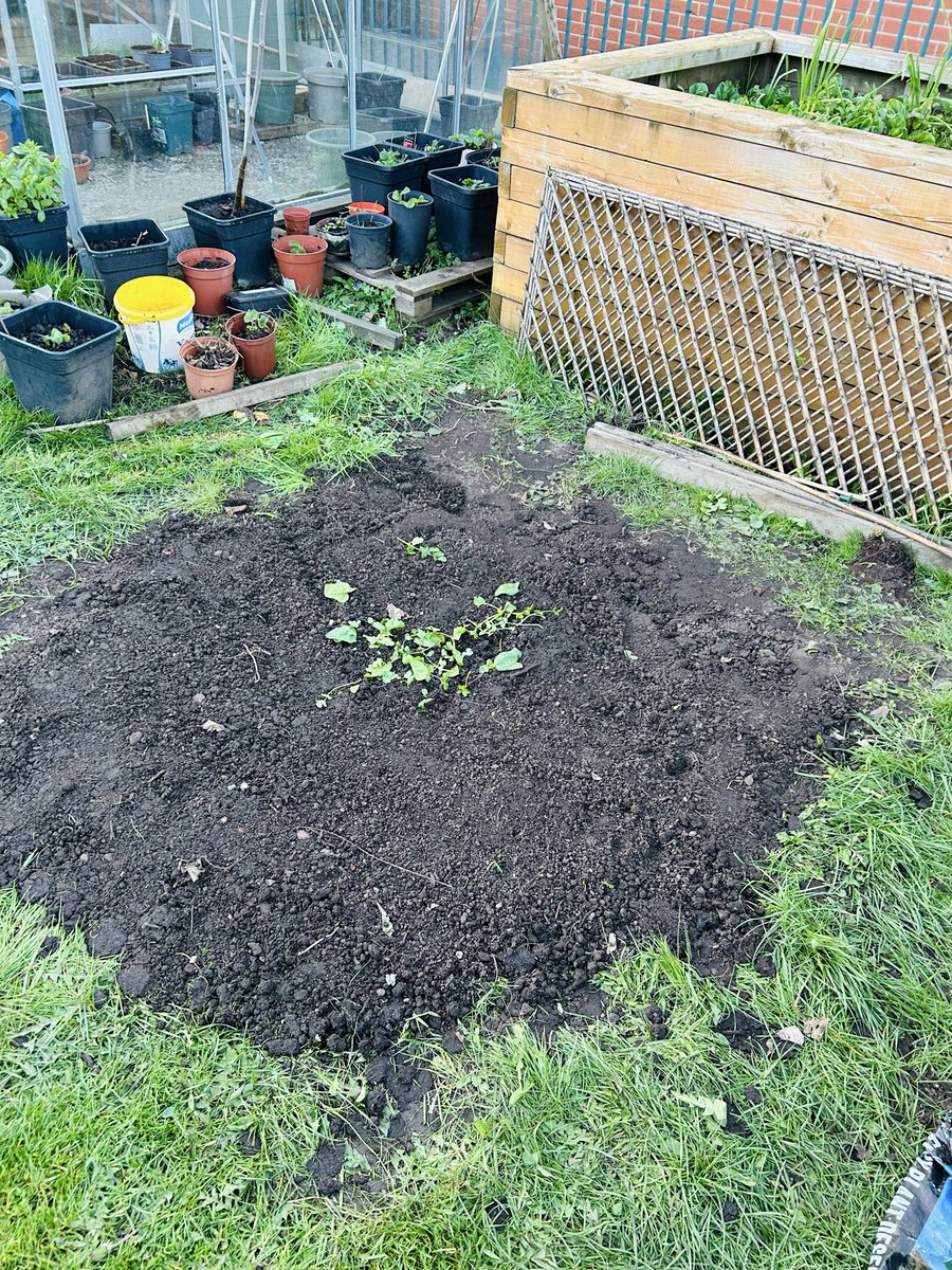 Deeplish C C tweet media