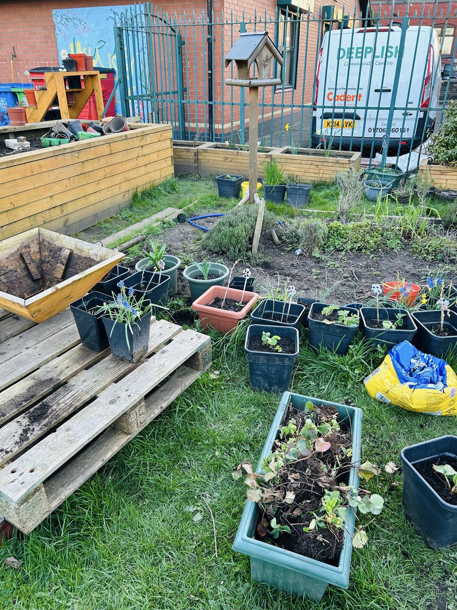 Deeplish C C tweet media