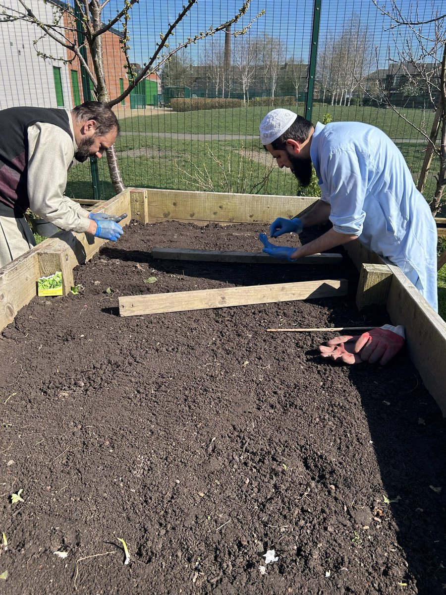 Deeplish C C tweet media