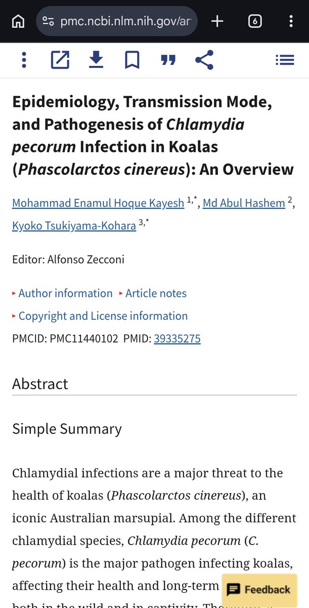 Tynnyfer tweet media