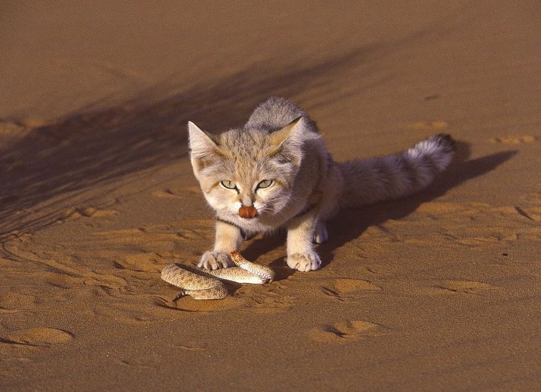 R ۞ 🇩🇿 tweet media