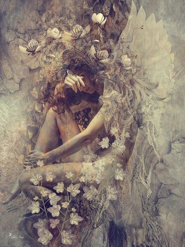 Bluebell Raven tweet media