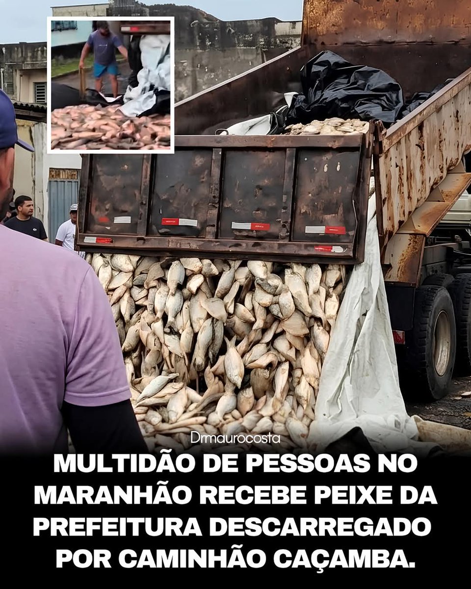 Senso Crítico ⚡ tweet media