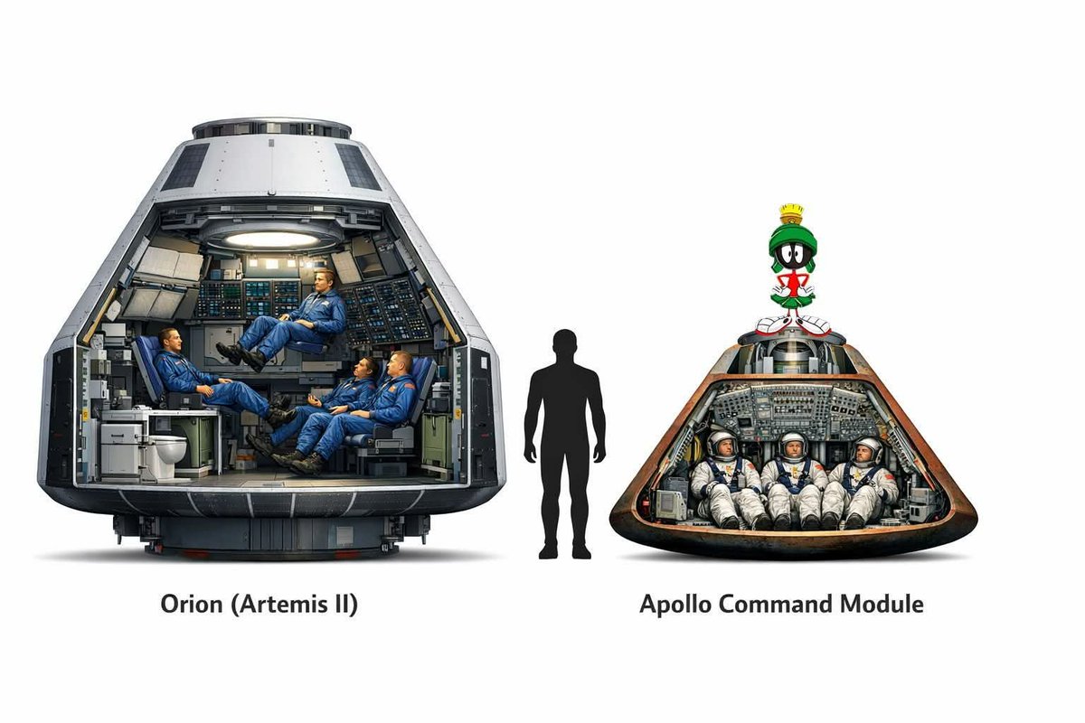 Elzo Brito tweet media