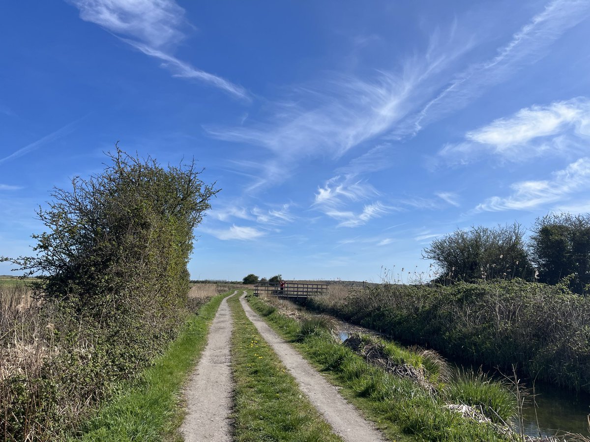 Alan Pavey tweet media