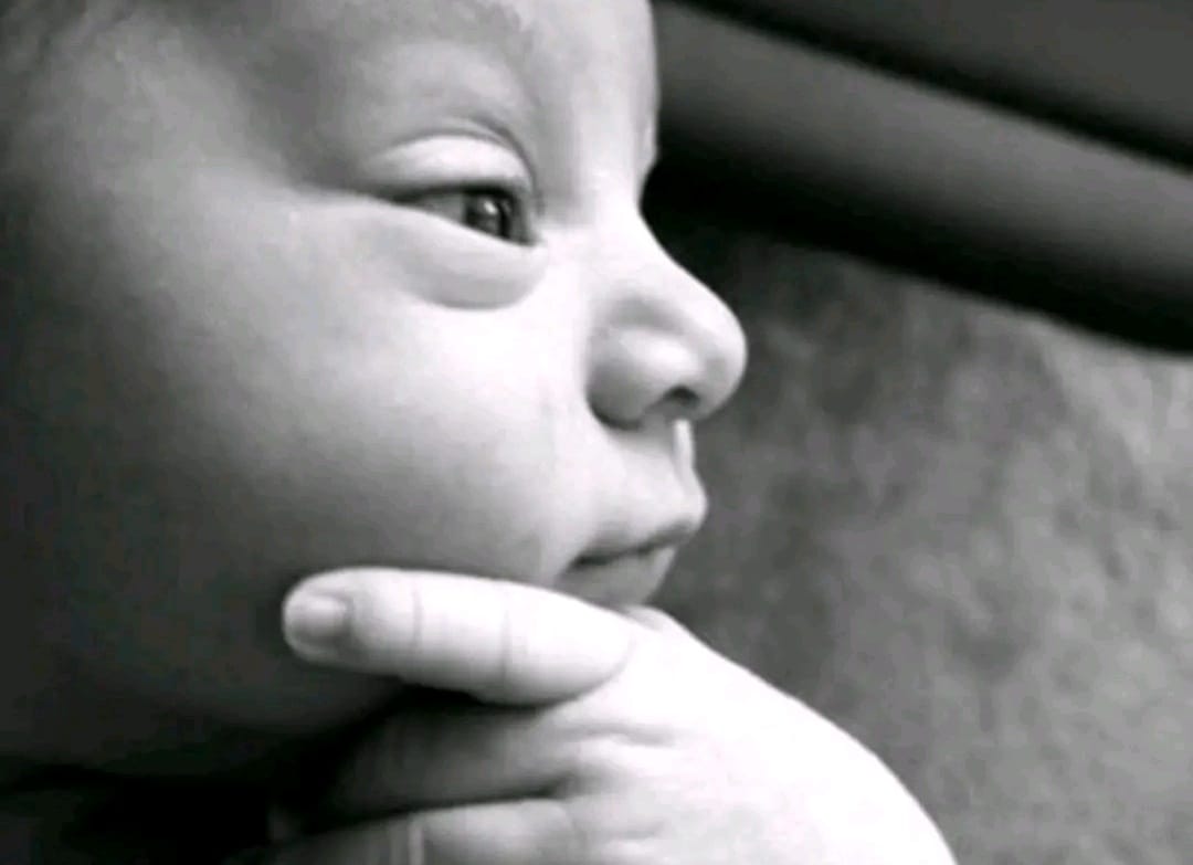 DAILY JOURNAL tweet media