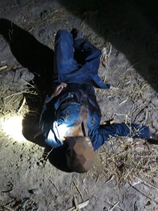 Adex smith tweet media