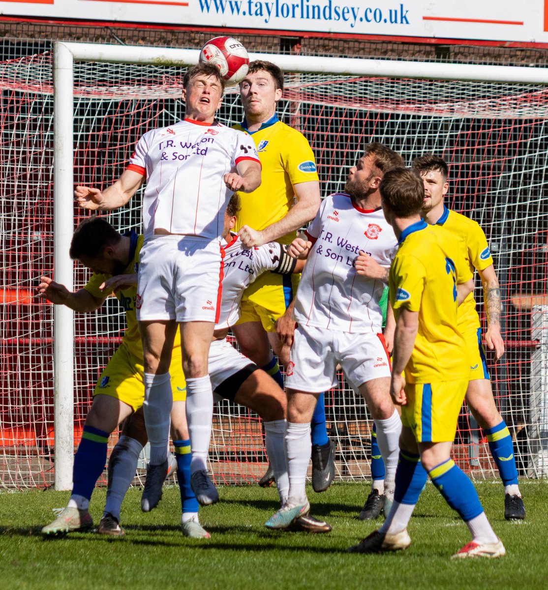 Lara palmer tweet media