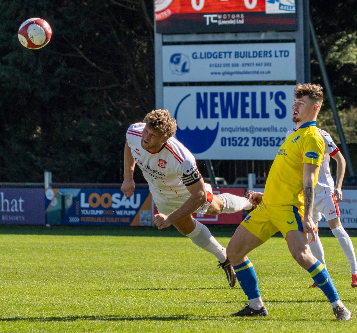 Lara palmer tweet media