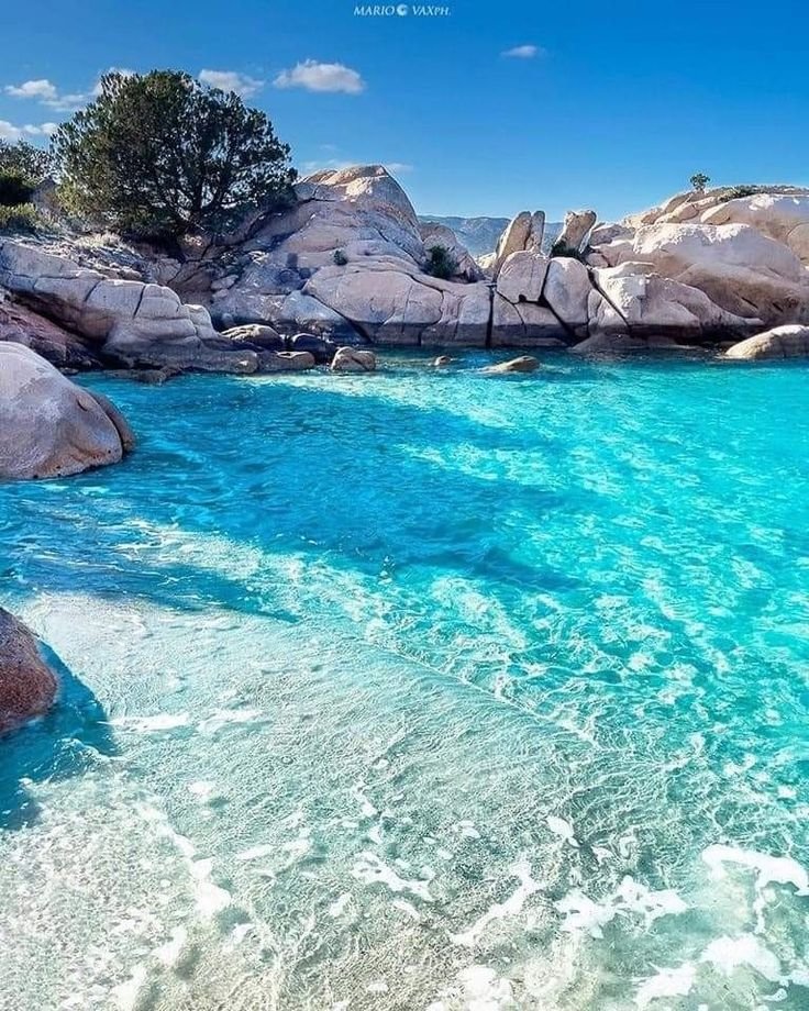 ꧁༺♡ourin♡༻꧂ tweet media