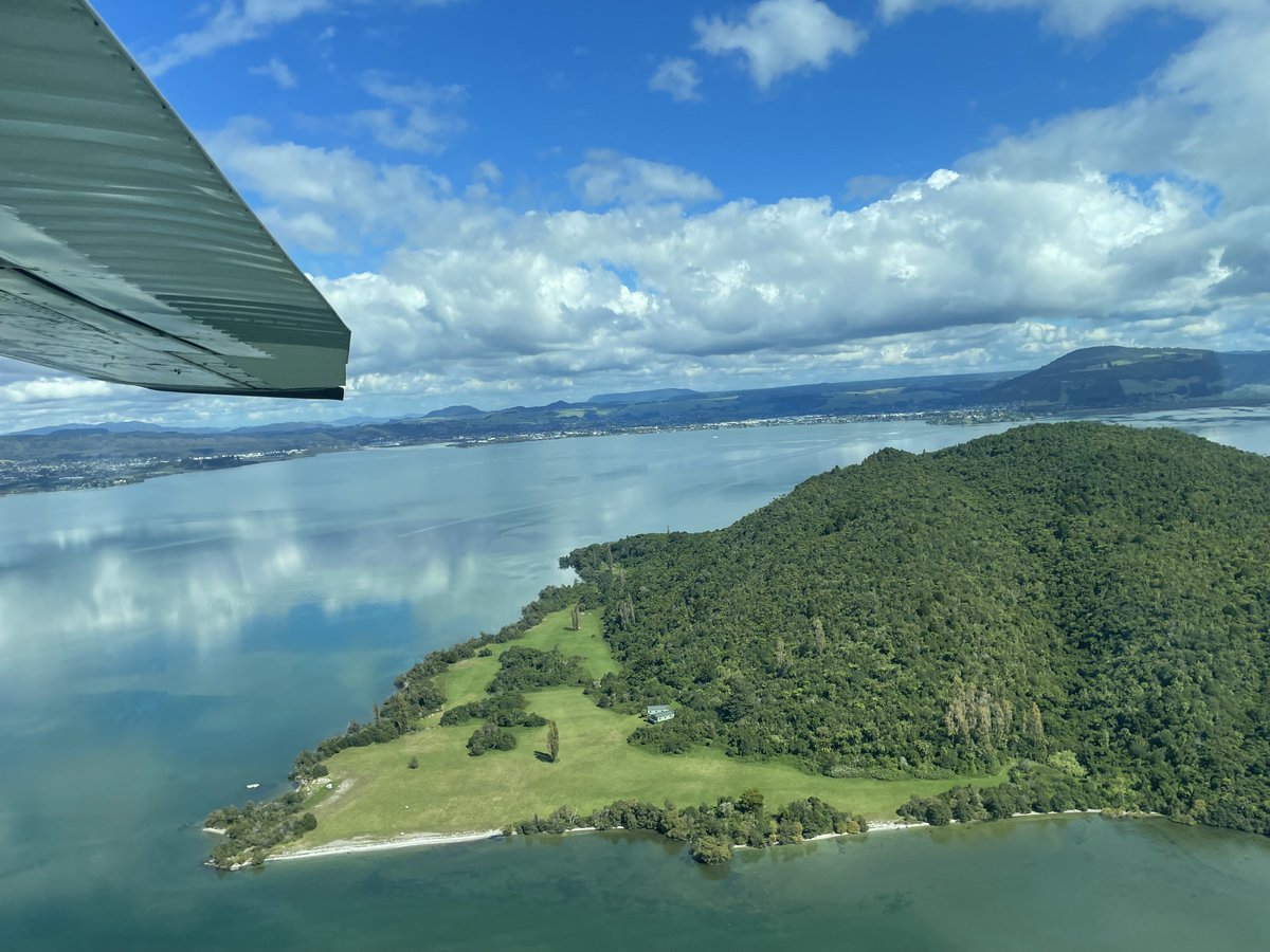 Louise Teboul tweet media