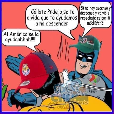 Mario Shelby tweet media