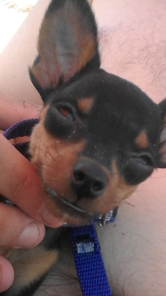 Dr. Destino tweet media