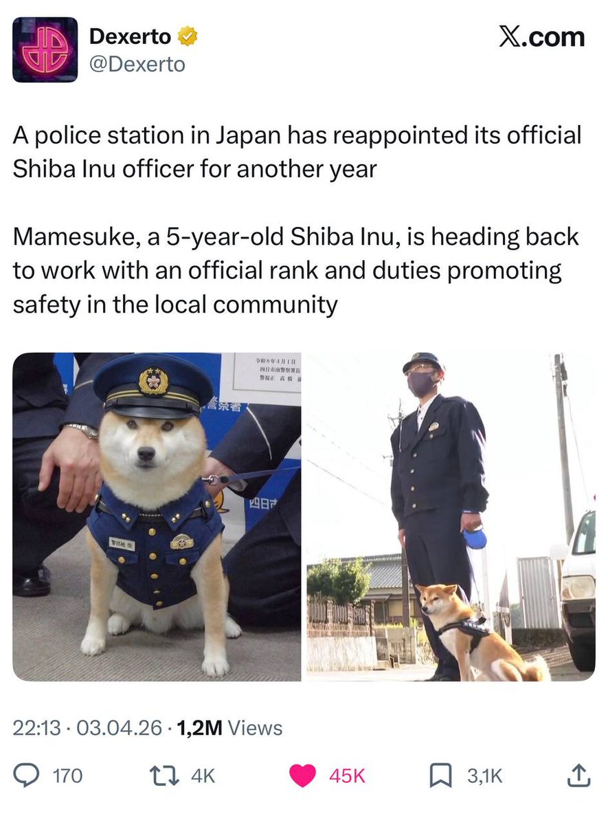 Mamesuke tweet media