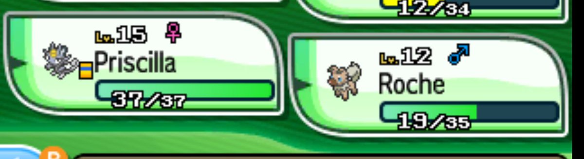 Newsteevie tweet media