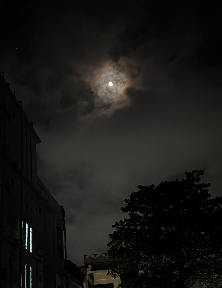 venusofmars's tweet photo. looking up at the moon tonight knowing 4 of us are closer to her than they are to us https://t.co/acylMT9jAc