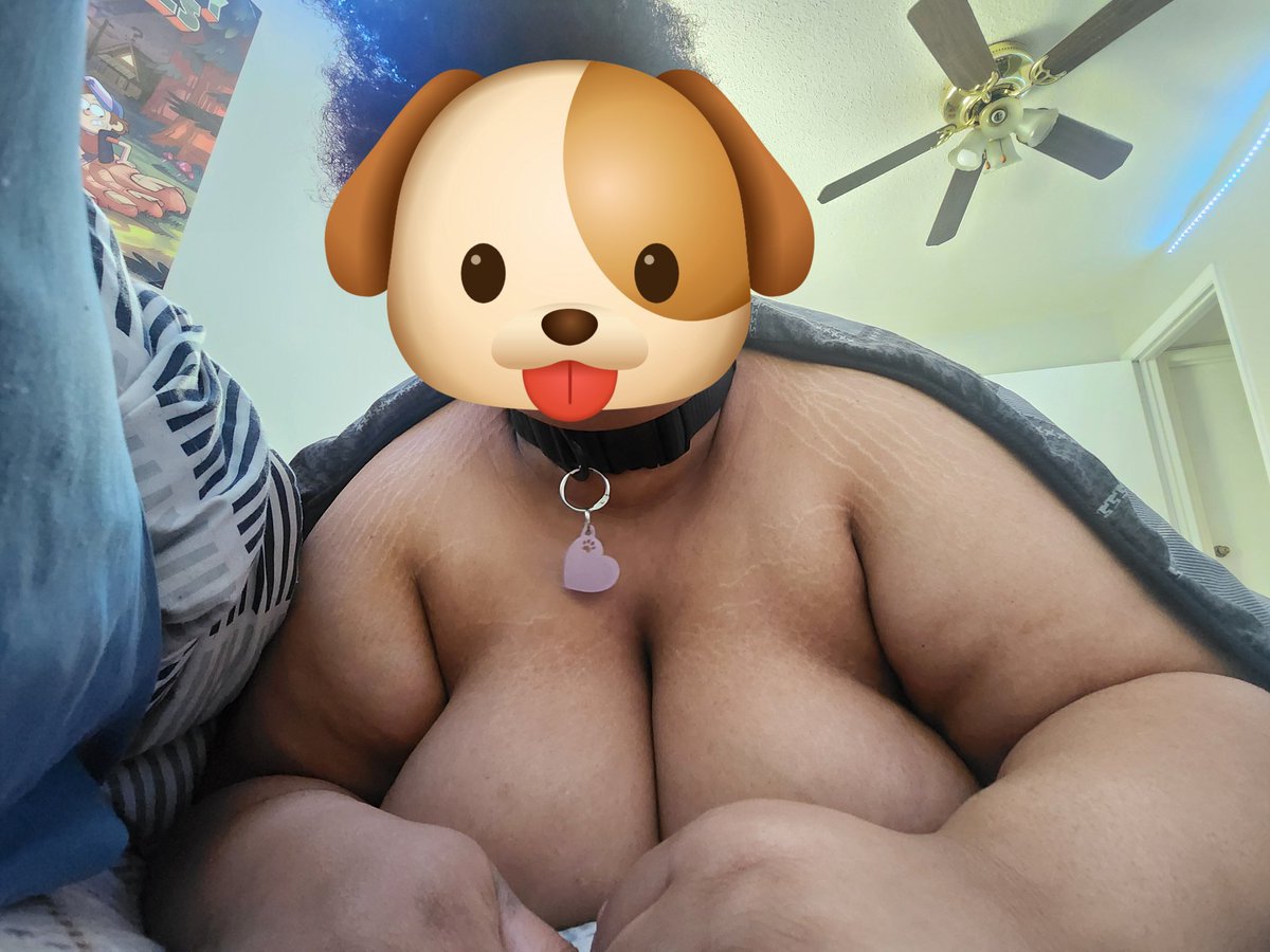 Ruby🐶 ➡️ Megaplex tweet media
