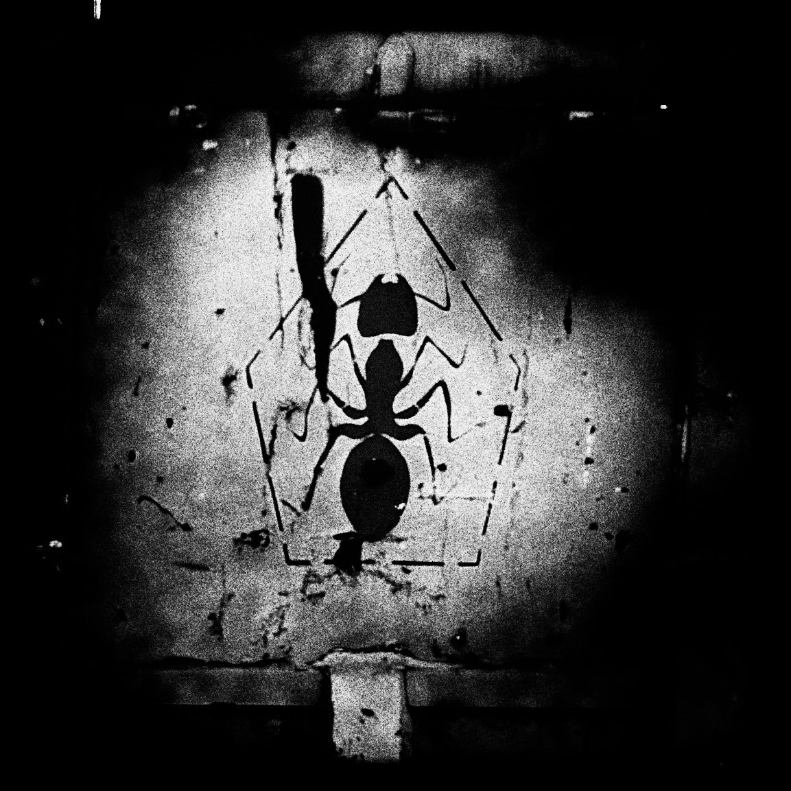 ijanrm's tweet image. Silent predator
#bnw #minimalism #streetart #iphonephotography #dark