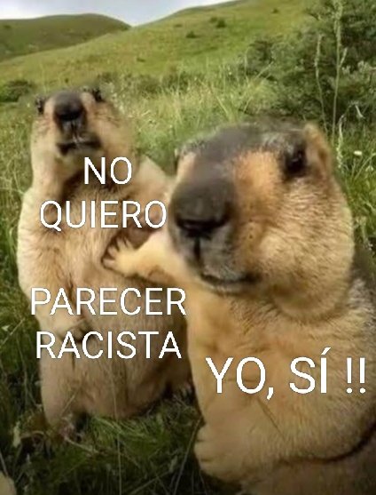 Mirrep II 🐑 tweet media