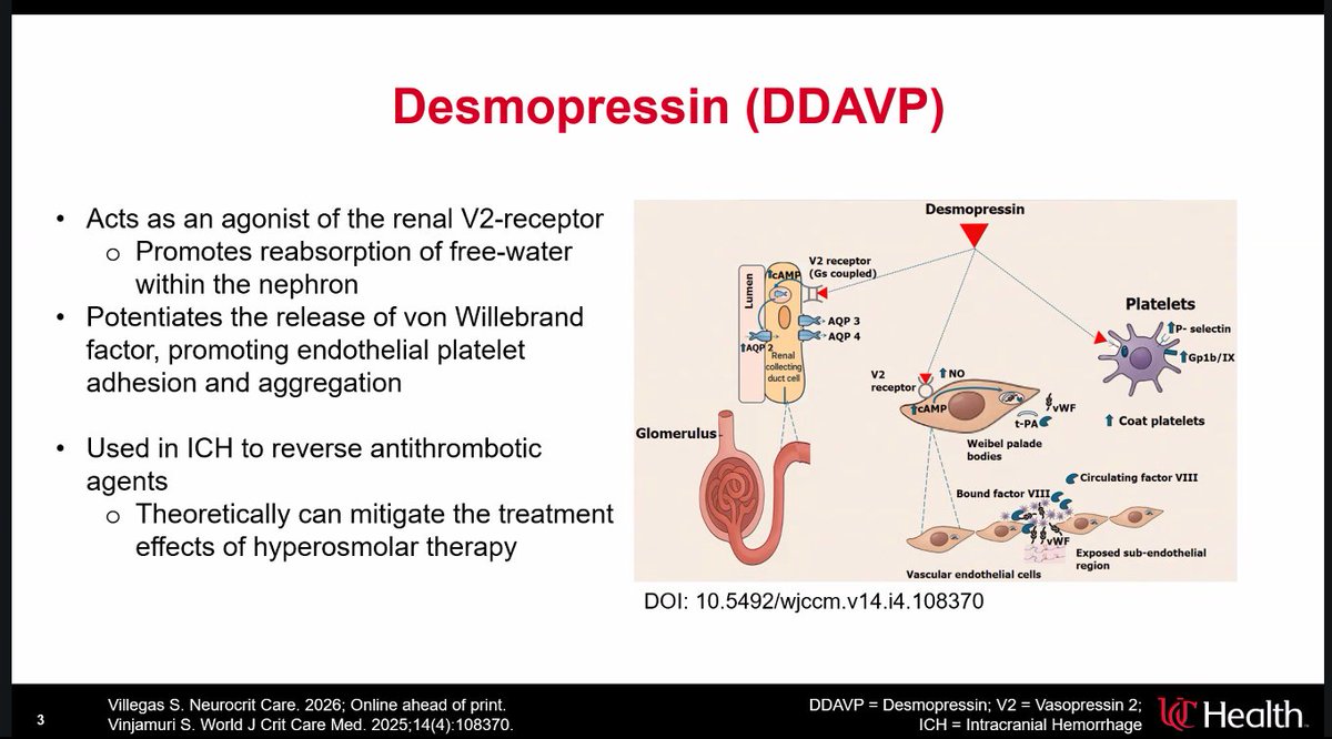 Kimberly Levasseur F tweet media