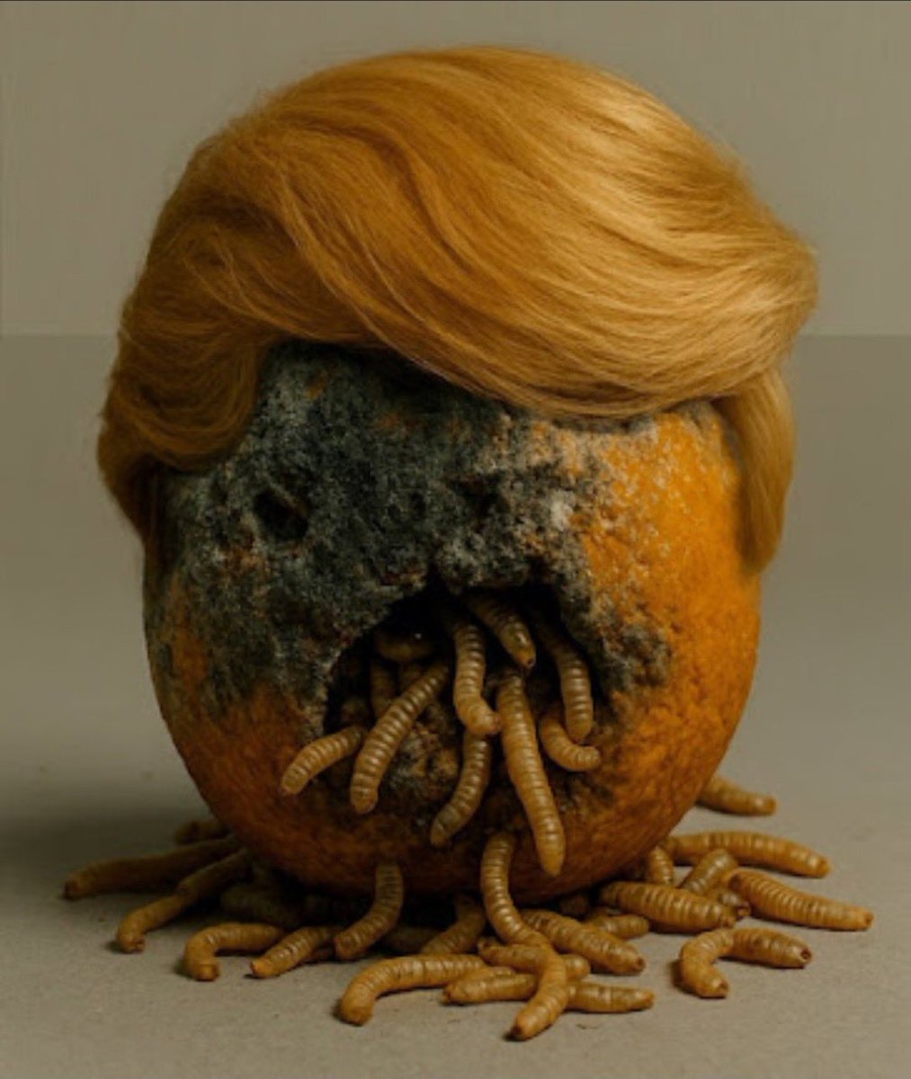 Transient tweet media