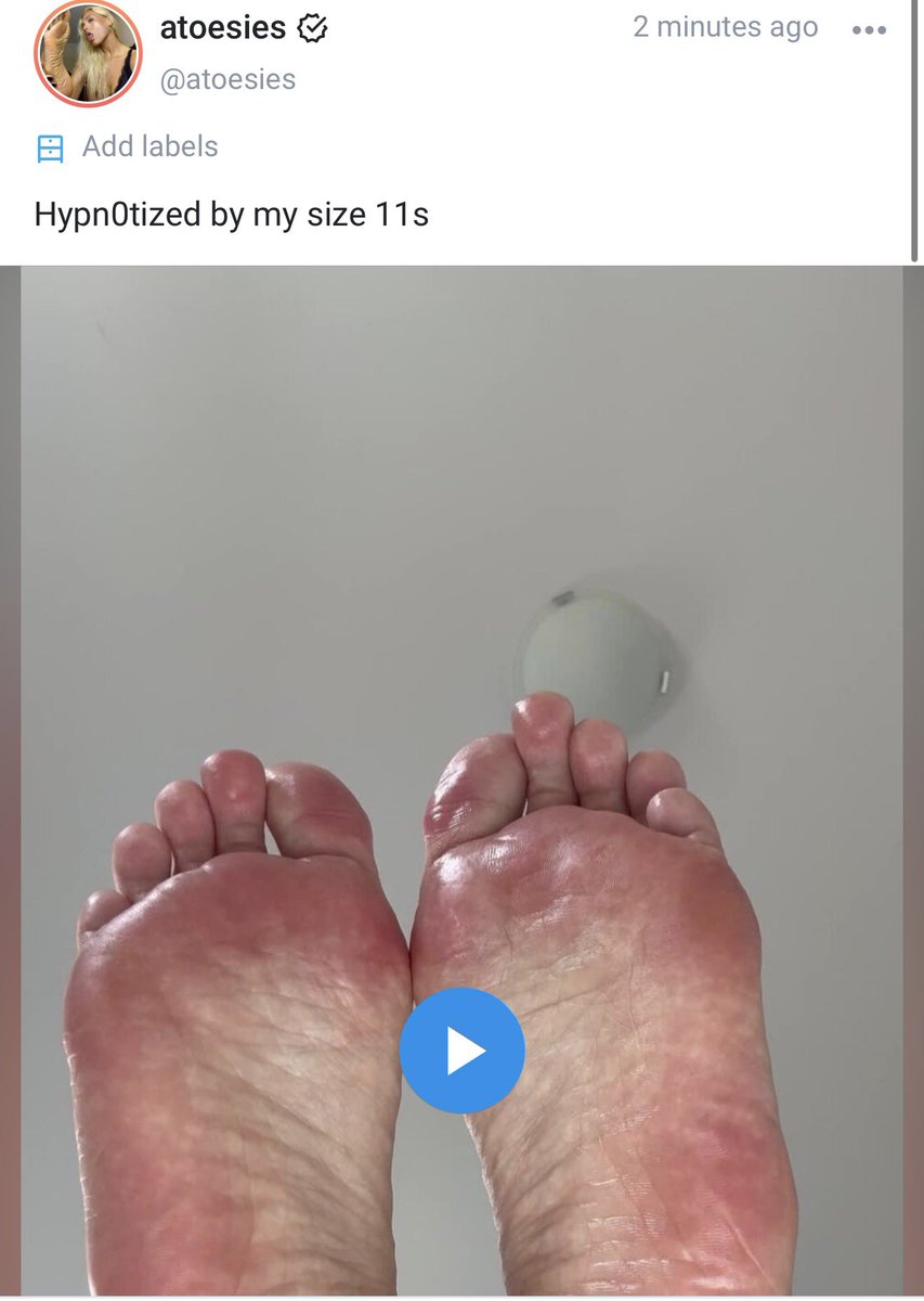 atoesies tweet media