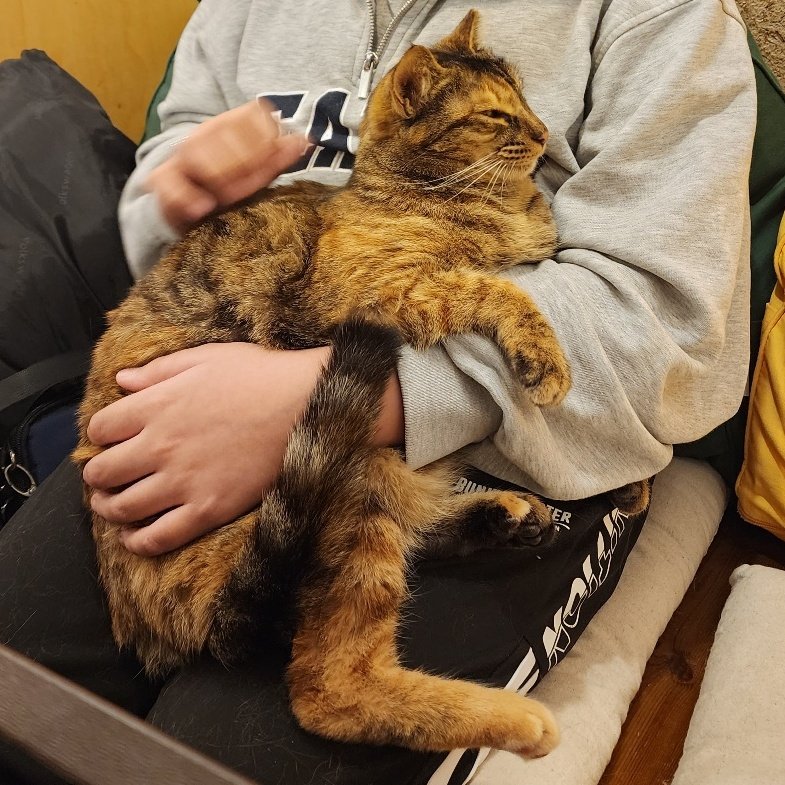 트친소 백사현 (강련) tweet media