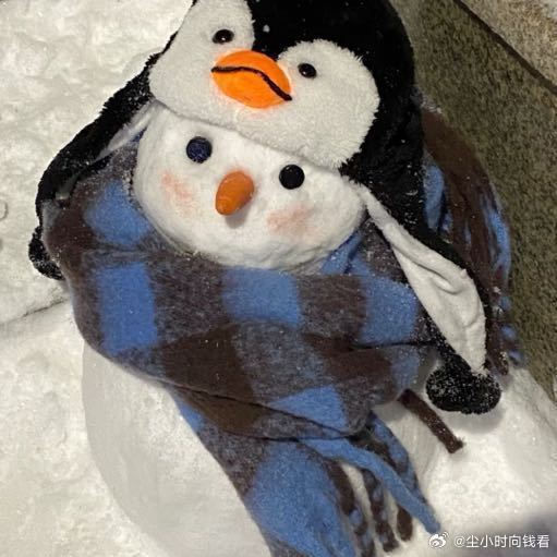 Marianne tweet media