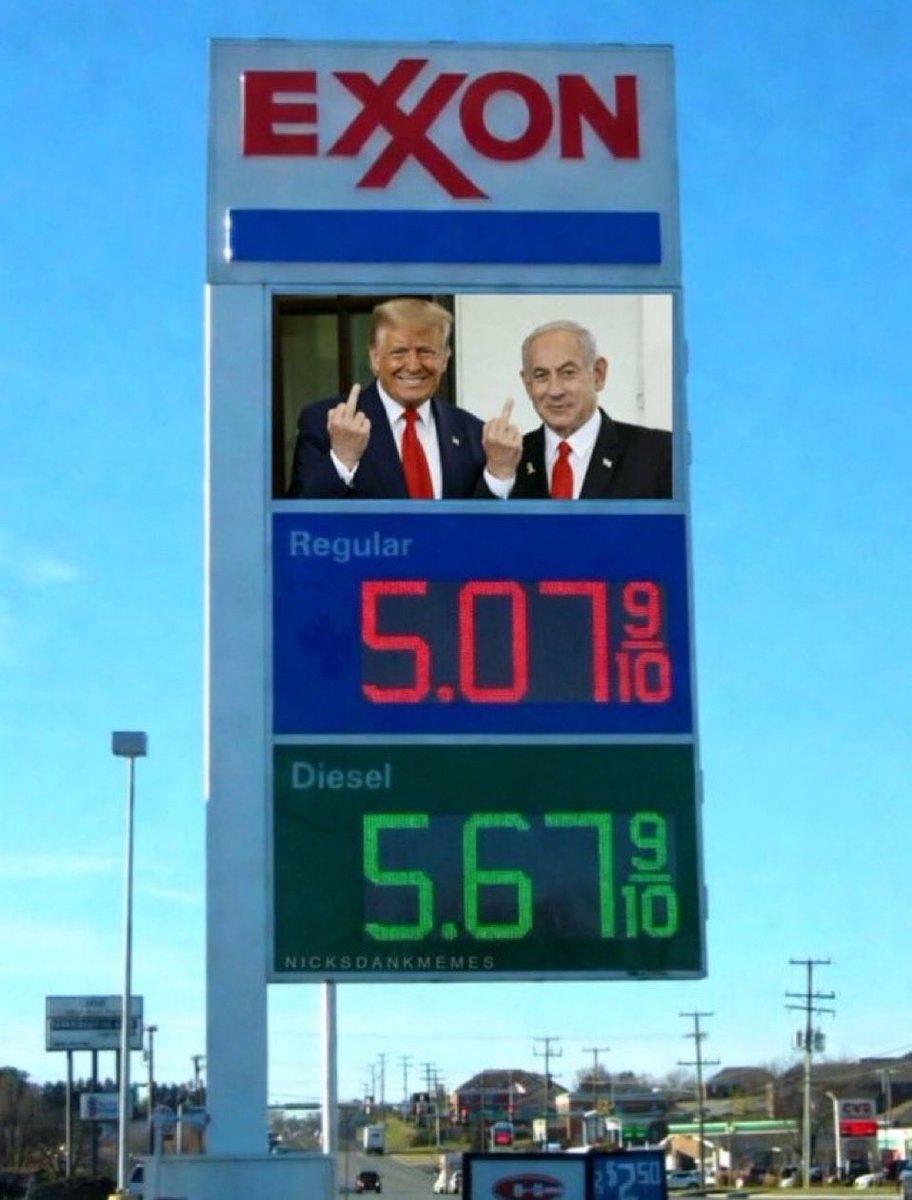 Distressed! 🌻👀🇺🇸🌞🐩🐶💙 tweet media