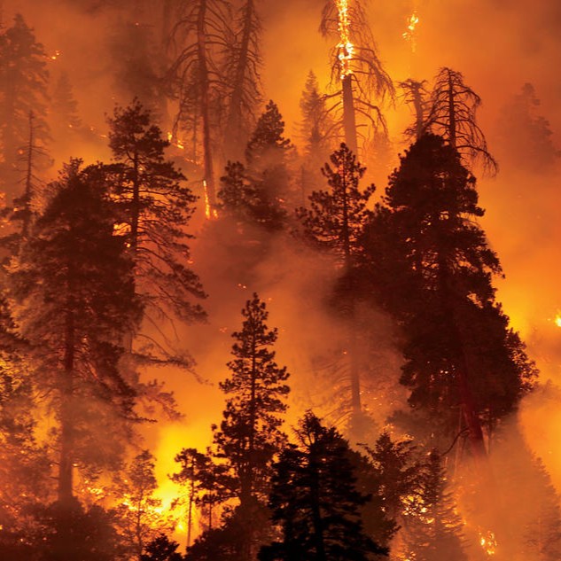 FactPost tweet media