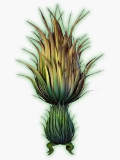 alya𐙚 | or3 is coming 🪩 tweet media